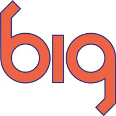 Building Infrastructure Group, Inc. logo