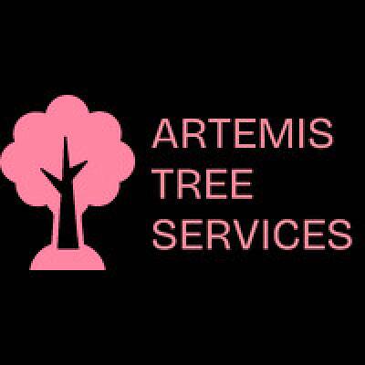 ARTEMIS