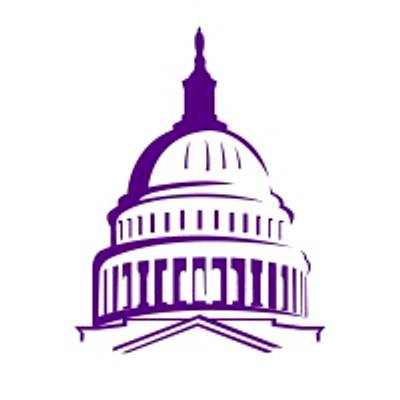 Institute for Youth in Policy logo