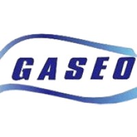 GASEO - Gestão em Saúde e Segurança Ocupacional logo