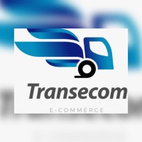 Transecom Global logo