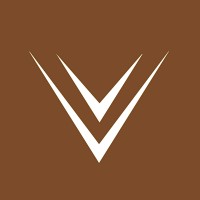 V Marine logo