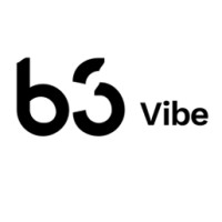 B3 Vibe logo
