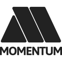 Momentum Solutions Egypt logo