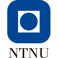 NTNU Faculty of Engineering logo