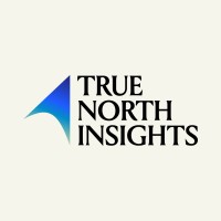 True North Insights logo