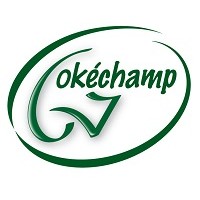 OKECHAMP S.A. w restrukturyzacji logo