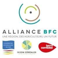 ALLIANCE BFC logo