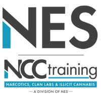 NES, Inc. logo