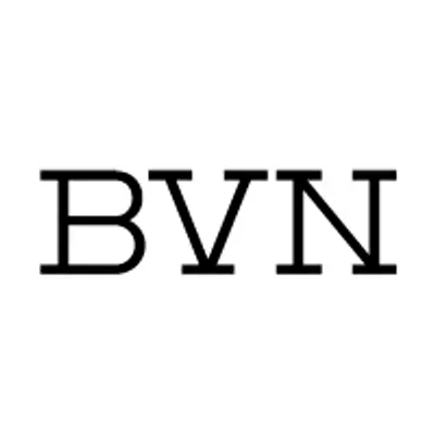 BVN Architecture logo