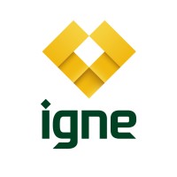 Igne logo