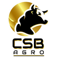 CSB