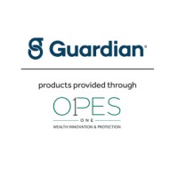 Opes One logo
