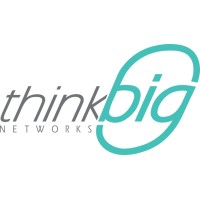 ThinkBig Networks LLC logo