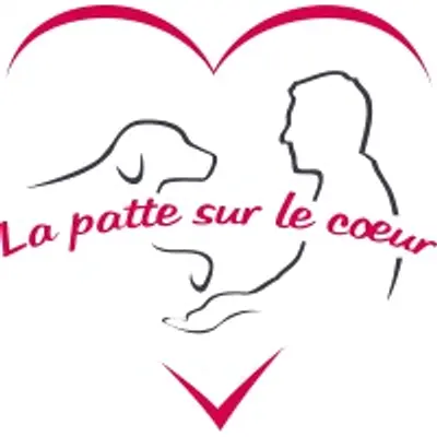 Association AFTAA logo