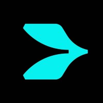 H2FLY logo