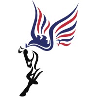 Pegasus Support Services, LLC logo