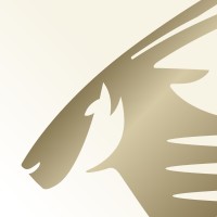Qatar Executive logo