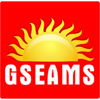 GSEAMS logo