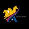 Avyaan Management Pvt. Ltd. logo