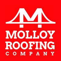 MOLLOY