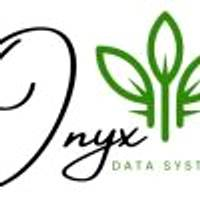Onyx Data Systems logo