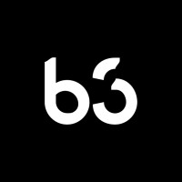 B3 Consulting Group logo