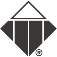 TTI Success Insights logo