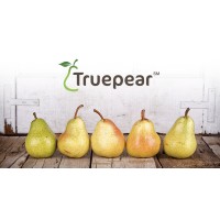 Truepear Dental logo