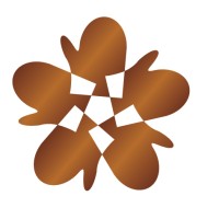 North Star Group logo
