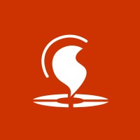 VST Fire Solutions logo
