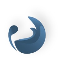 AVNIR IMT logo