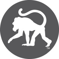 Frothy Monkey company logo