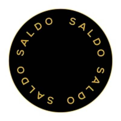 Saldo Redovisning logo