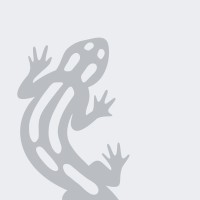 Salamander myWindow logo