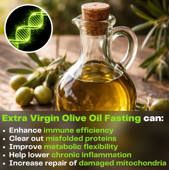 Unlock Cellular Benefits with Olive Oil and Ketones: A Simple Fast Mimic Protocol | Populer Platform