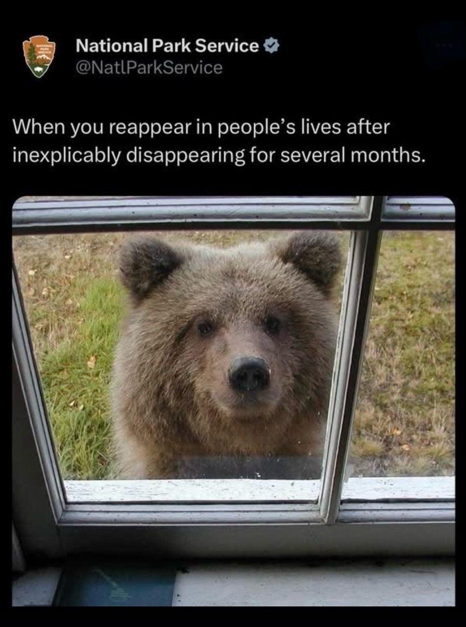 Safely Reintroducing Yourself After Bear Season: Tips for Park Visitors | Populer Platform