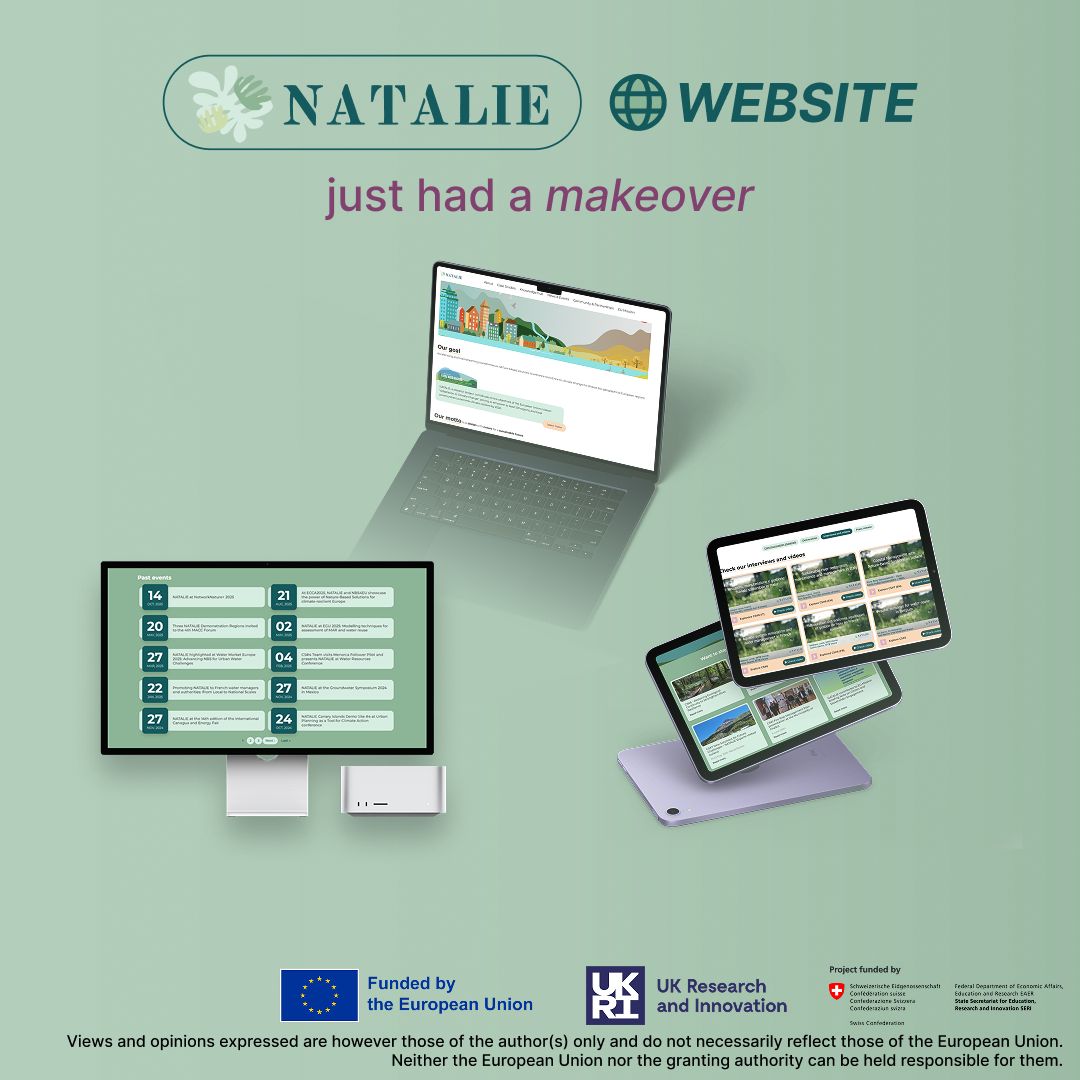Discover the Revamped NATALIE Website: Now Easier Than Ever to Explore | Populer Platform