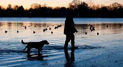 Maryland Introduces Legislation to Permit Sunday Waterfowl Hunting | Populer Platform