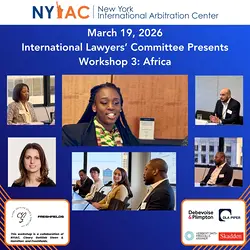 International Lawyers’ Committee Workshop 3: Africa Insights on Regional Expertise and Cross-Border Networks | Populer Platform