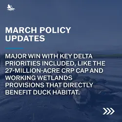 2026 Farm Bill & Conservation Funding: Protecting Waterfowl and Hunting in North America | Populer Platform