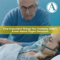 5 Critical Facts Every Organ Donor Should Know About Their Rights | Populer Platform