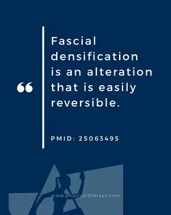 Reversing Fascial Densification with Foam Rolling and Self-Massage | Populer Platform