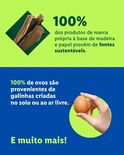 Discover How Lidl's Commitment to Biodiversity Ensures Fresh Quality Products | Populer Platform