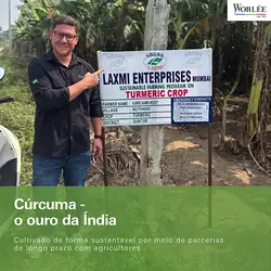 Discover the Cultural and Quality Excellence of Laxmi's Turmeric | Populer Platform