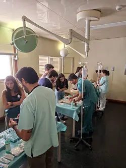 Sucesso do Curso Avançado de Acessos Arteriais e Venosos: Parceria com ULS e FMUL | Populer Platform