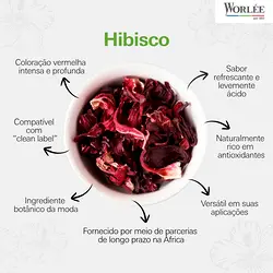 Discover the Rising Popularity of Hibiscus in Beverages | Populer Platform