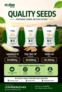 Seed Quality Makes the Difference in Harvest Results with Noba Africa | Populer Platform