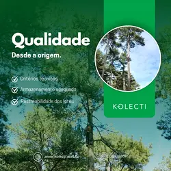 Ensuring Seed and Material Integrity from Field to Finish with Kolecti | Populer Platform