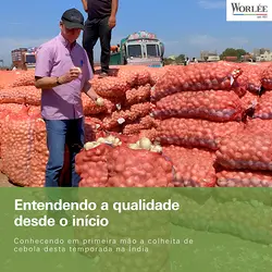 Product Managers Visit Indian Suppliers for Onion Harvest Insights | Populer Platform
